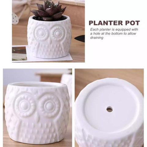Deryaft®️ Owl Pattern Flowerpot